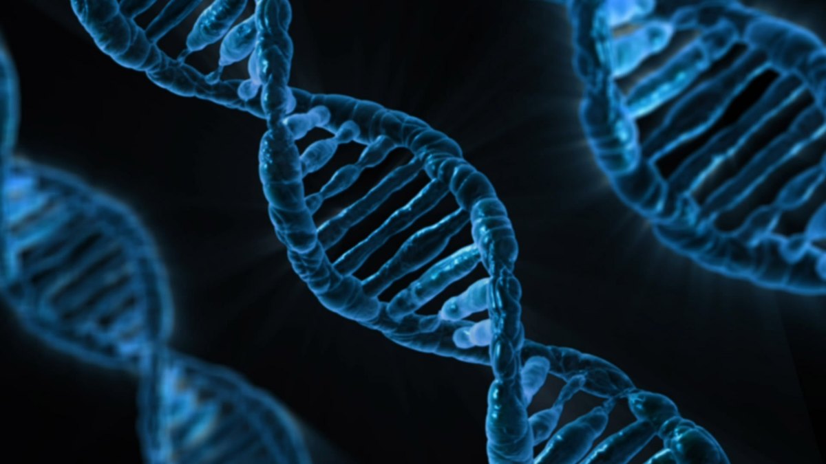 The DNA double helix — the molecule that holds the inherited memory of a living thing; a DNA and bioelectricity feature by Panacea Bio Chem and Bogdan Dicoias
